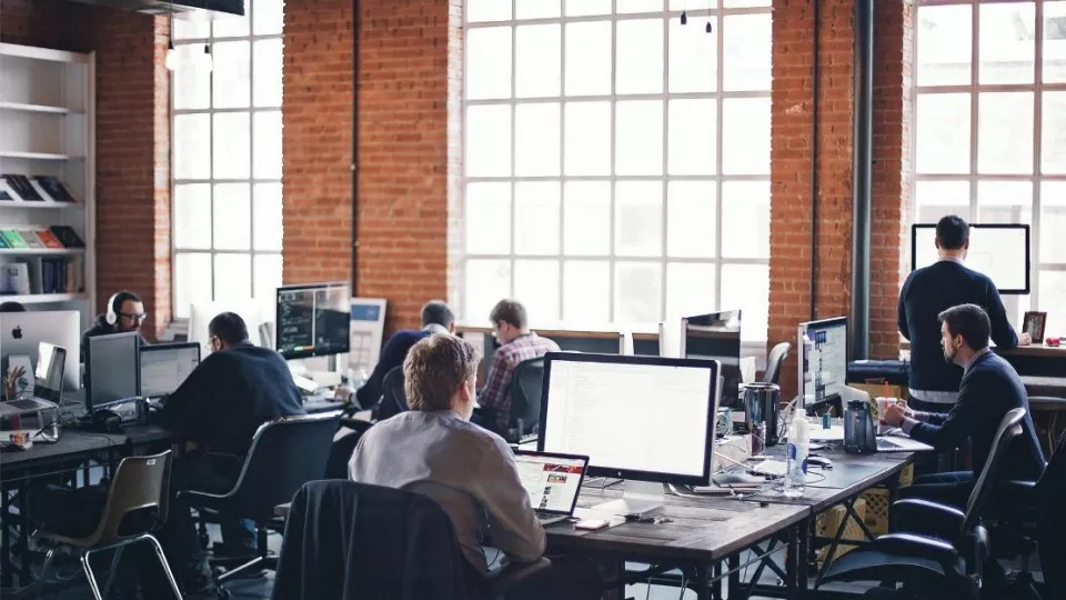 Как выбрать веб-студию в Павлово по кейсам