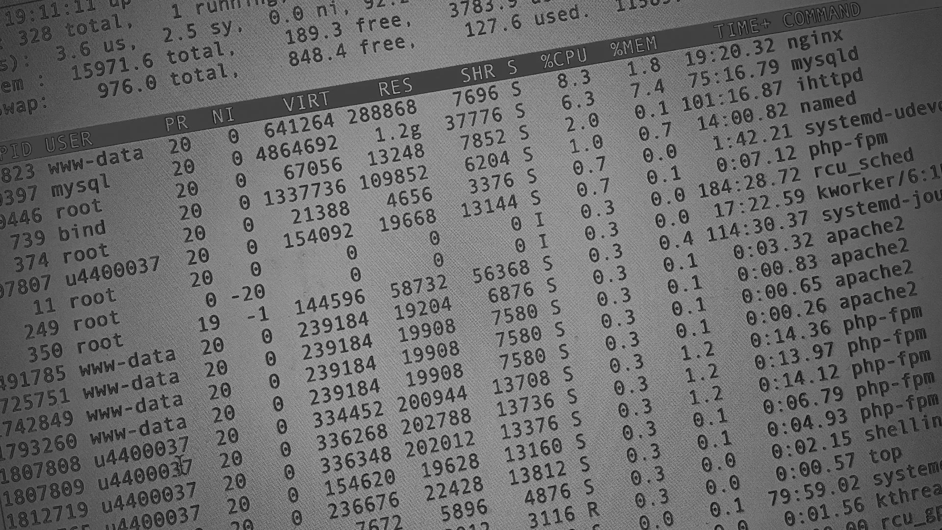 Настройка сервера в Павлово