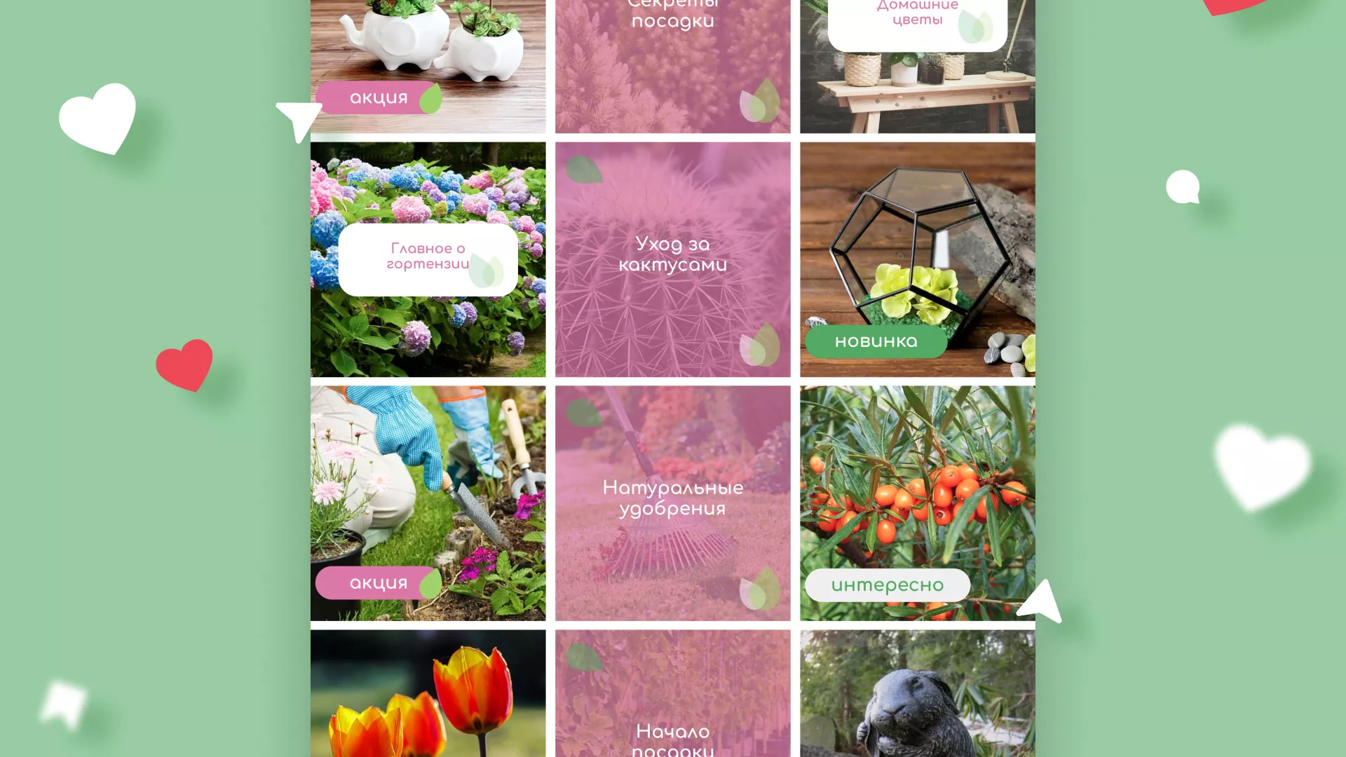 Разработка оформления профиля Instagram для магазина «Floraint» в Павлово