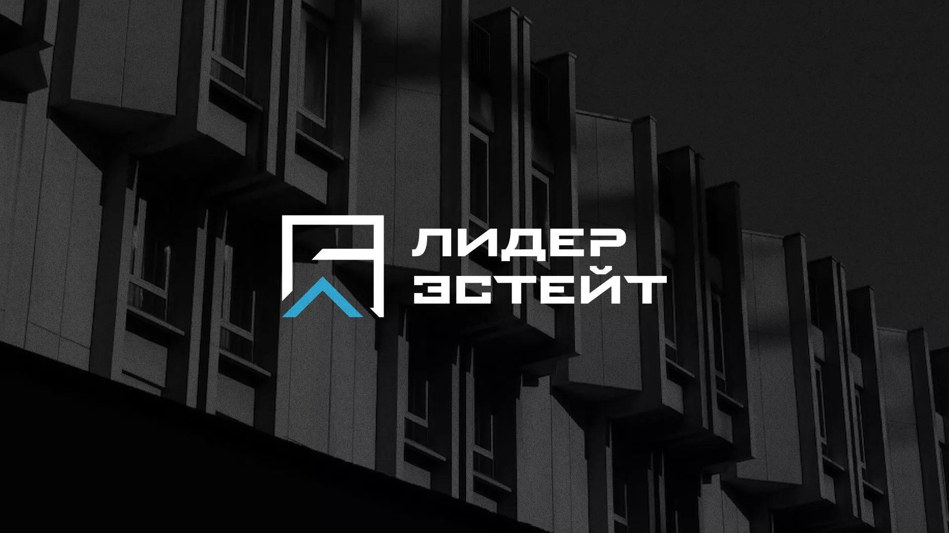 Разработка логотипа агентства недвижимости «Лидер Эстейт» в Павлово